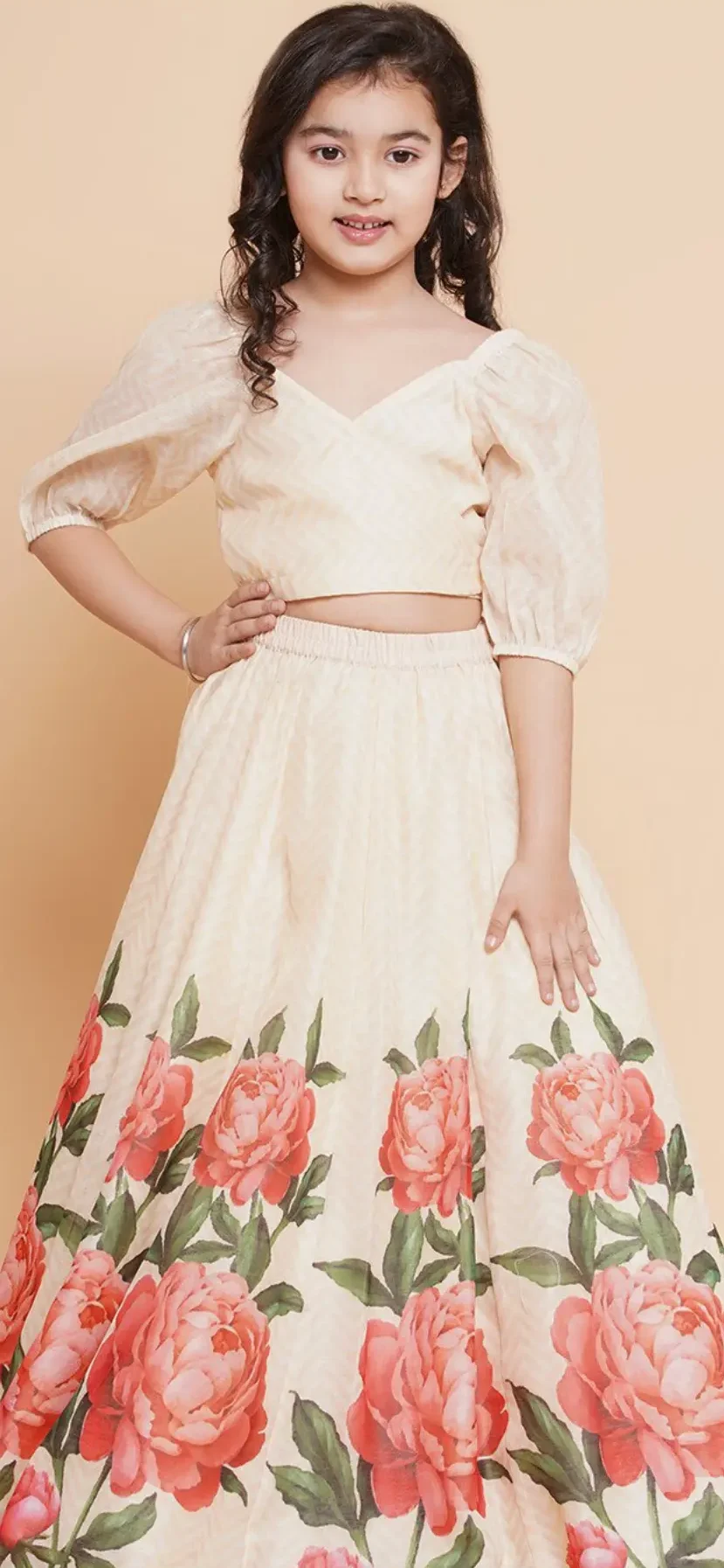Graceful Lehenga Choli