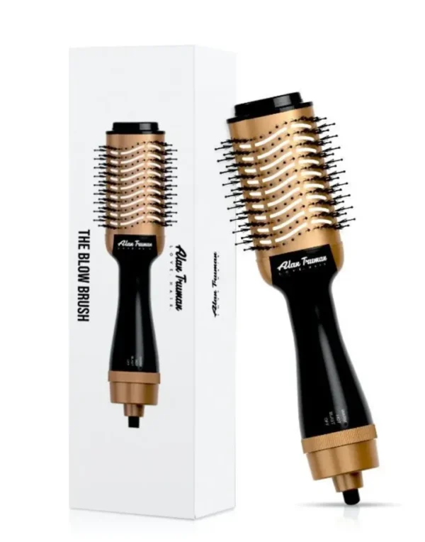 Alan Truman Blow Brush