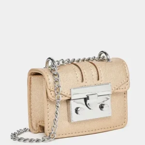 Gold Push Lock Chain Mini Bag