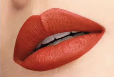 L’Oreal Paris Rouge Signature Matte Liquid Lipstick